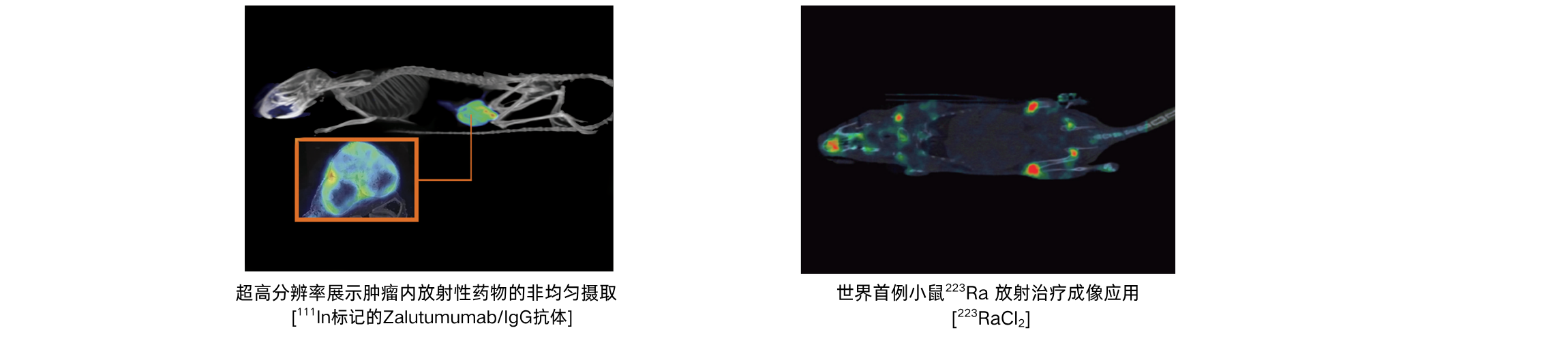 U-SPECT/CT小动物核医学成像系统 - 图1