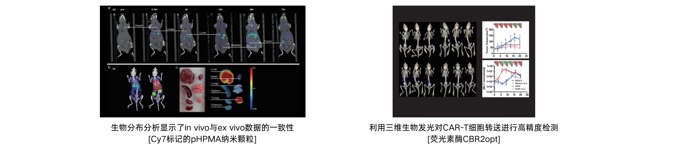 U-OI/CT小动物光学/CT三维成像系统 - 图2