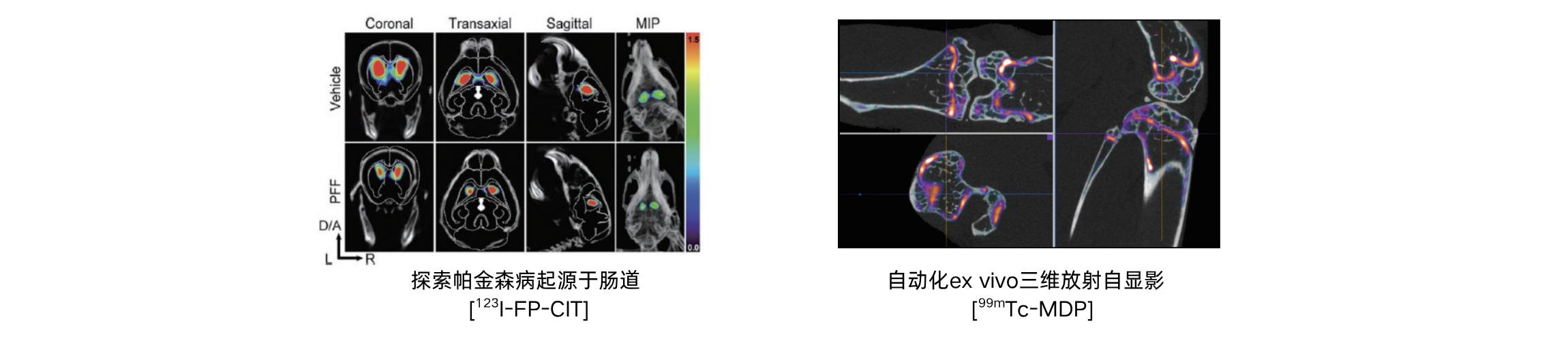 U-SPECT/CT小动物核医学成像系统 - 图2