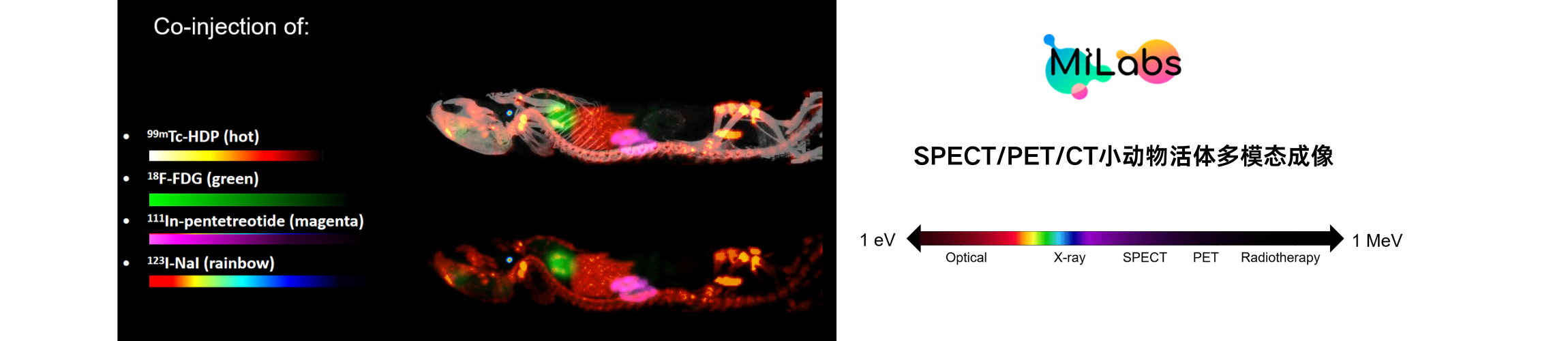 MILabs VECTor（U-SPECT/PET/CT）小动物活体多模态成像系统 - 图1