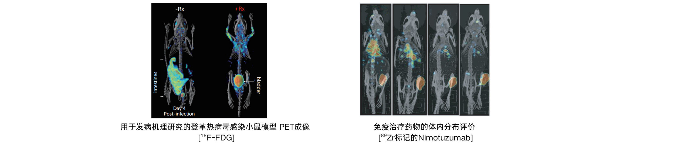 U-PET/CT小动物核医学成像系统 - 图1