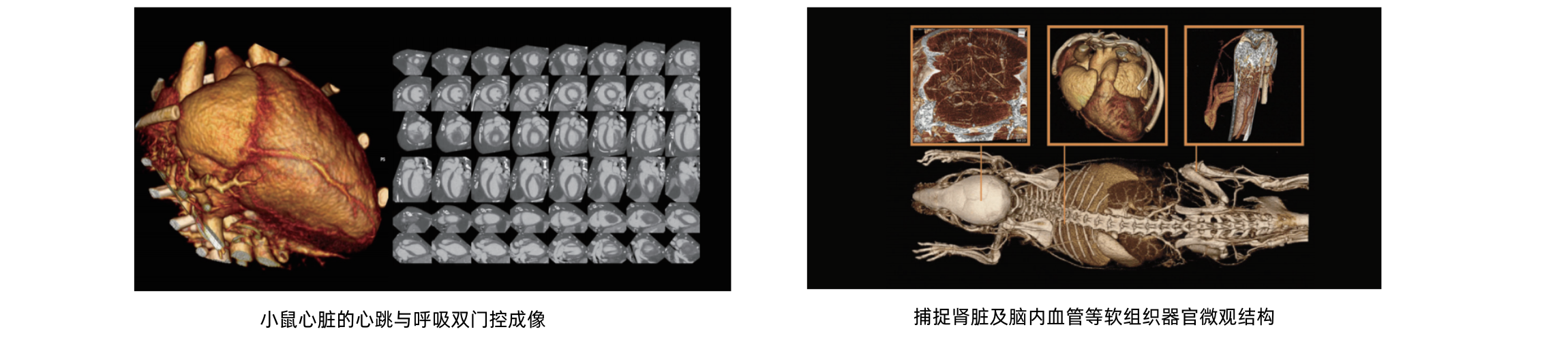 U-CT小动物Micro CT成像系统 - 图1