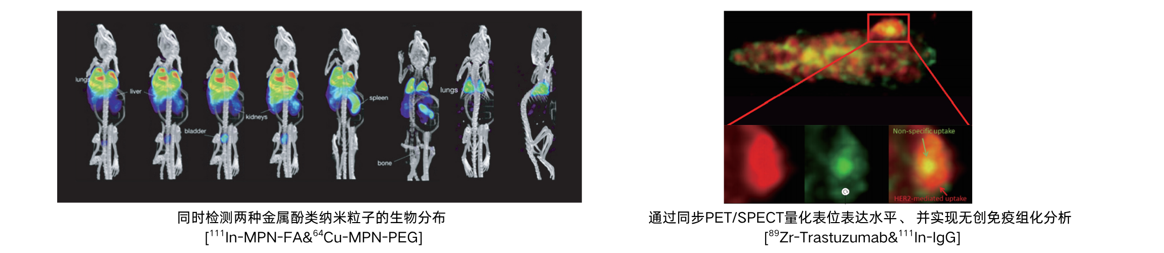 MILabs VECTor（U-SPECT/PET/CT）小动物活体多模态成像系统 - 图3