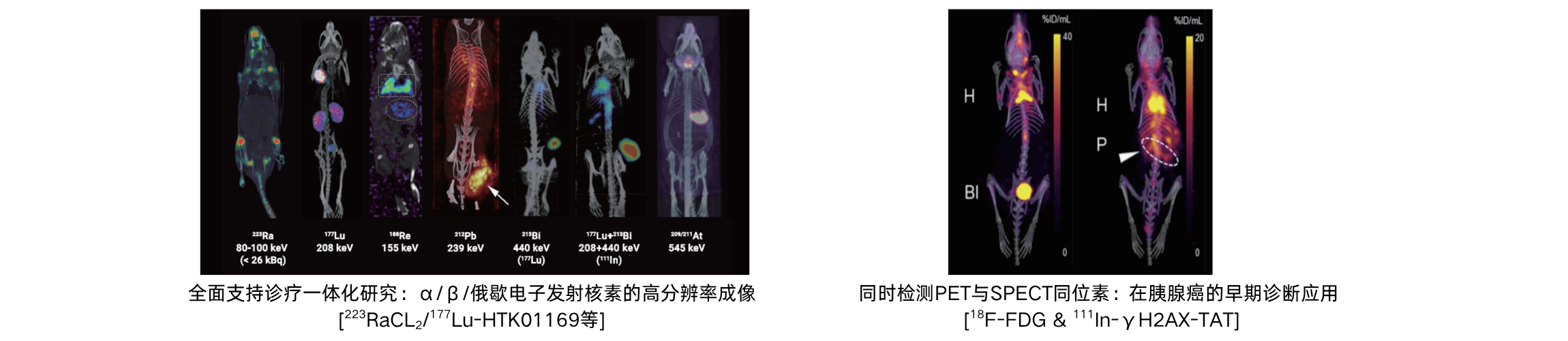 MILabs VECTor（U-SPECT/PET/CT）小动物活体多模态成像系统 - 图2