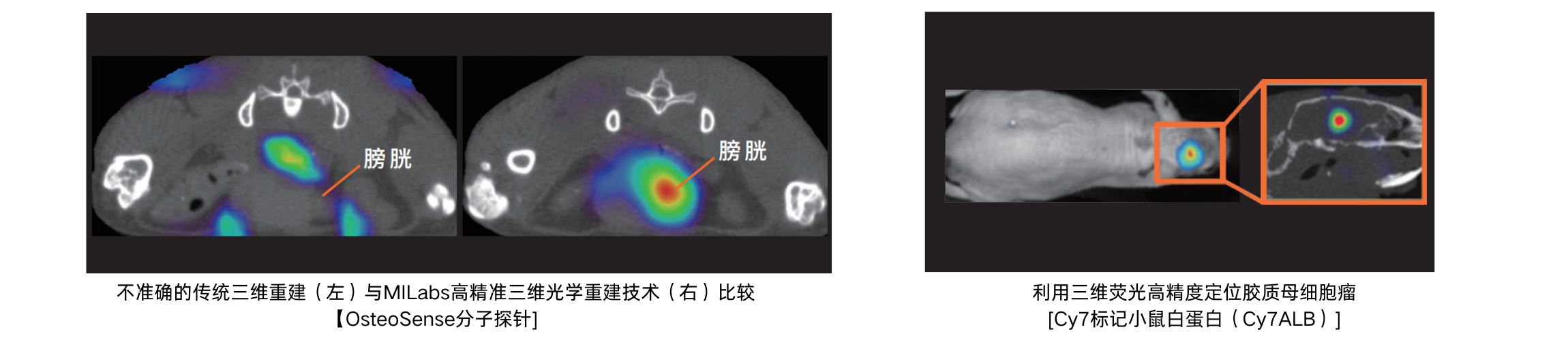 U-OI/CT小动物光学/CT三维成像系统 - 图1