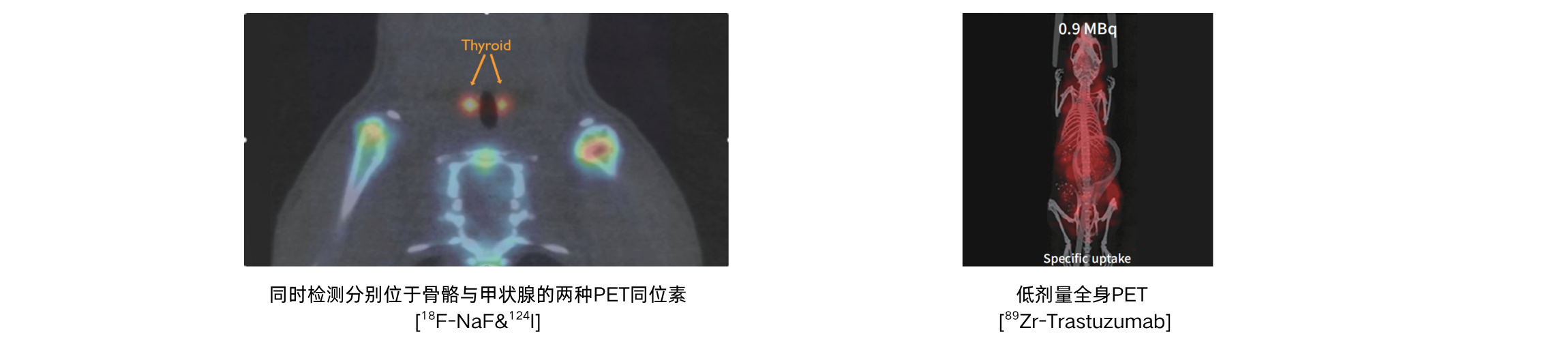 U-PET/CT小动物核医学成像系统 - 图2